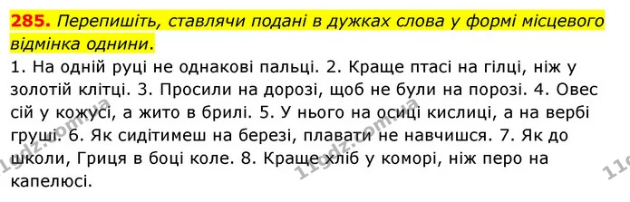 285. Перепишіть, ставлячи подані в дужках слова у формі місцевого відмінка однини. — ГДЗ Українська мова 5 клас Глазова 2022
