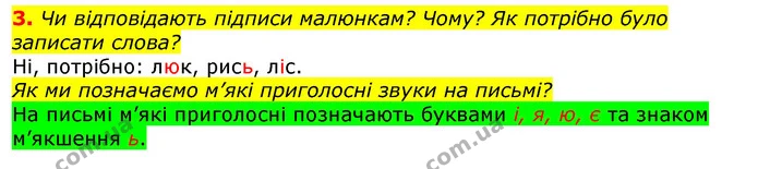 3. Чи відповідають підписи малюнкам? Чому? Як потрібно було записати слова? — ГДЗ Українська мова 2 клас Большакова 1 ч. - 2 ч.
