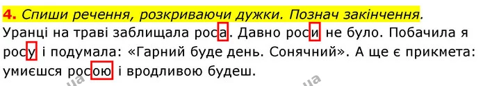 4. Спиши речення, розкриваючи дужки. Познач закінчення. — ГДЗ Українська мова та читання 3 клас Большакова 1-2 ч.