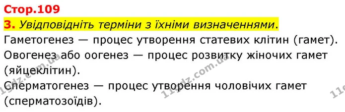1. Розгляньте малюнки. Підпишіть ті компоненти будови сперматозоїда та яйцеклітини, які ви знаєте. — частина 3 — ГДЗ Робочий зошит Біологія 8 клас Тагліна (2025)