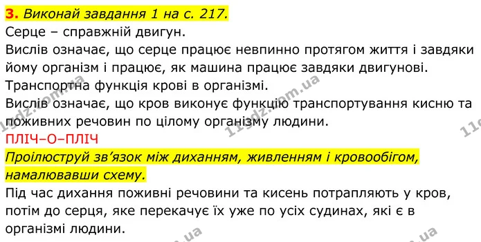 2. Добери логічні пари. З’єднай їх лініями. — ГДЗ робочий зошит Пізнаємо природу 5 клас Коршевнюк