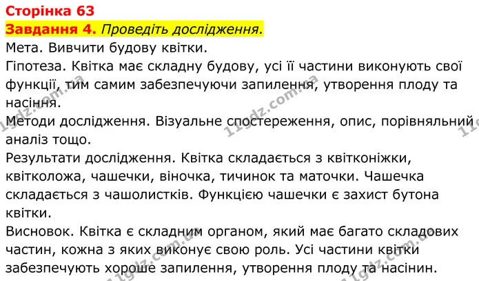 4. Проведіть дослідження. — ГДЗ Робочий зошит Біологія 7 клас Мирна 2024