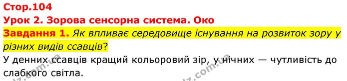 Стор. 104 — 1 — ГДЗ Робочий зошит біологія 8 клас Мирна — ГДЗ Робочий зошит біологія 8 клас Мирна