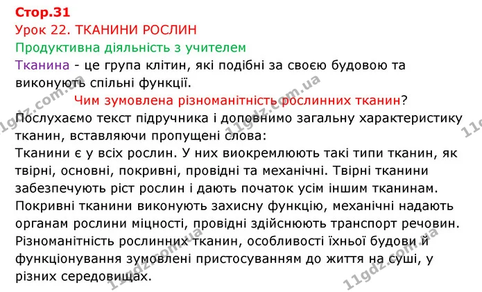 Стор. 31 — 1 — ГДЗ Робочий зошит Біологія 6 клас Соболь — ГДЗ Робочий зошит Біологія 6 клас Соболь