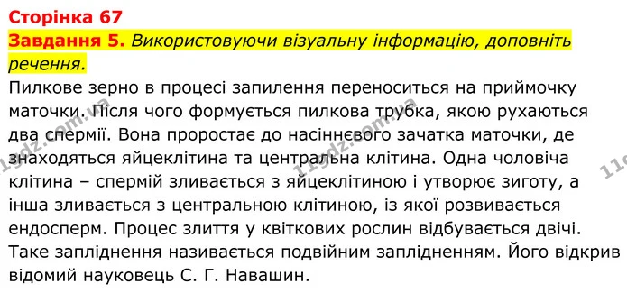 5. Використовуючи візуальну інформацію, доповніть речення. — ГДЗ Робочий зошит Біологія 7 клас Мирна 2024