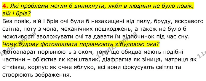 4. Які проблеми могли б виникнути, якби в людини не було повік, вій і брів? — ГДЗ Біологія 8 клас Балан