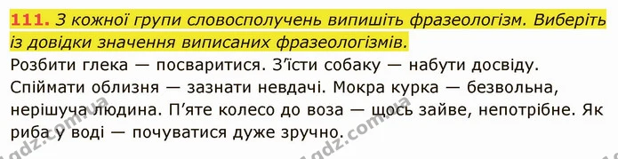 111. З кожної групи словосполучень випишіть фразеологізм. Виберіть — ГДЗ Українська мова 6 клас Глазова