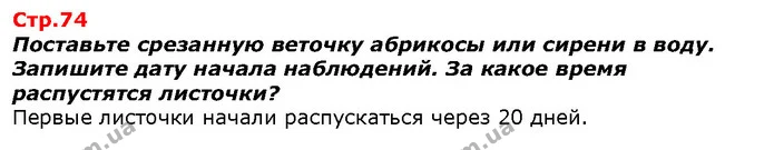 Рассмотрите фото и объясните, чем отличаются изображенные улицы. — ГДЗ Я исследую мир 1 класс Гильберг