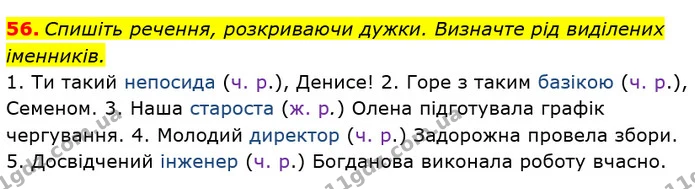 56. Спишіть речення, розкриваючи дужки. Визначте рід виділених іменників. — ГДЗ Українська мова 6 клас Заболотний 2019