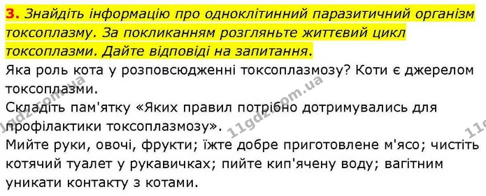3. Знайдіть інформацію про одноклітинний паразитичний організм токсоплазму. За покликанням розгляньте життєвий цикл токсоплазми. Дайте — ГДЗ робочий зошит Біологія 7 клас Кулініч