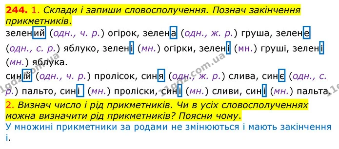 244. 1. Склади і запиши словосполучення. Познач закінчення прикметників. — ГДЗ Українська мова та читання 3 клас Коваленко (1 частина)