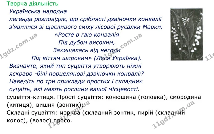 Стор. 55 — 2 — ГДЗ Робочий зошит Біологія 6 клас Соболь — ГДЗ Робочий зошит Біологія 6 клас Соболь