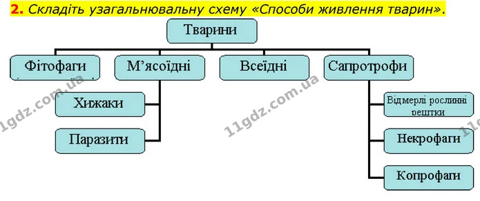 2. Де відбувається позаорганізмове, внутрішньоклітинне і внутрішньопорожнинне травлення? — ГДЗ Пізнаємо природу 6 клас Мідак