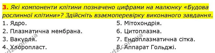 3. Які компоненти клітини позначено цифрами на малюнку «Будова рослинної клітини»? Здійсніть взаємоперевірку виконаного завдання. — ГДЗ робочий зошит Біологія 7 клас Кулініч
