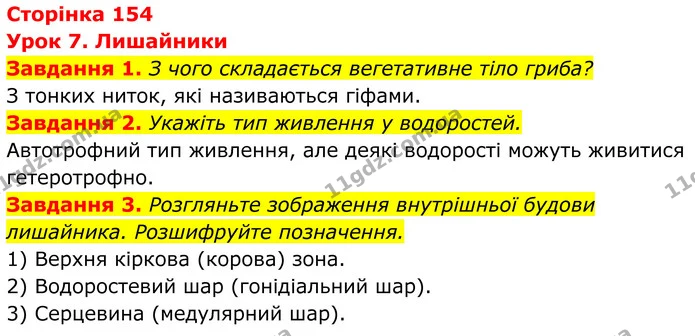 1. З чого складається вегетативне тіло гриба? — ГДЗ Робочий зошит Біологія 7 клас Мирна 2024