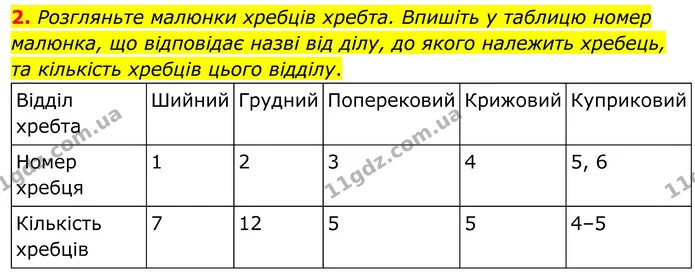 2. Розгляньте малюнки хребців хребта. Впишіть у таблицю номер малюнка, що відповідає назві від ділу, до якого належить хребець, та — ГДЗ Робочий зошит Біологія 8 клас Кулініч