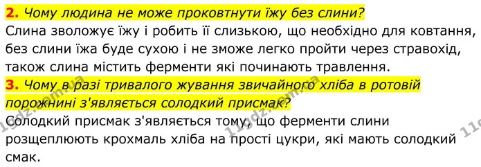 2. Чому людина не може проковтнути їжу без слини? — ГДЗ Біологія 8 клас Балан