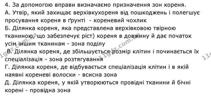 Стор. 33 — 2 — ГДЗ Робочий зошит Біологія 6 клас Соболь — ГДЗ Робочий зошит Біологія 6 клас Соболь