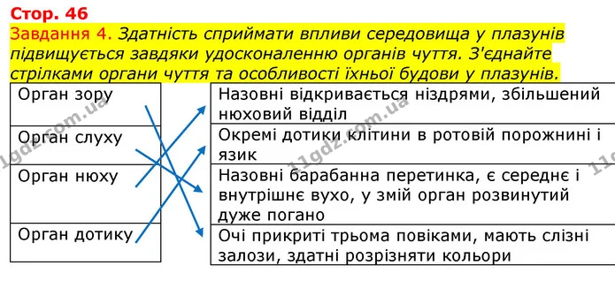 Стор. 46 — 4 — ГДЗ Робочий зошит з Біології 7 клас Яременко — ГДЗ Робочий зошит з Біології 7 клас Яременко