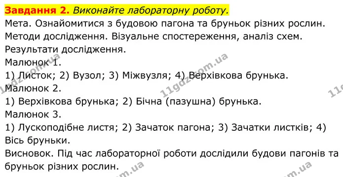 2. Виконайте лабораторну роботу. — ГДЗ Робочий зошит Біологія 7 клас Мирна 2024