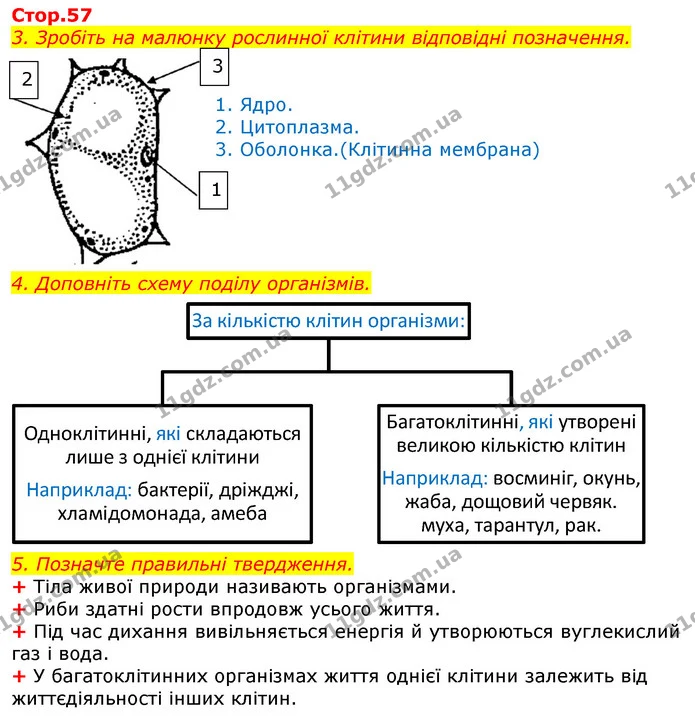Уявна порожниста куля, на поверхню якої зсередини нанесено всі зорі; модель неба – це..  (П) небесна сфера  Точка небесної сфери — ГДЗ Робочий зошит Природознавство 5 клас Мечник