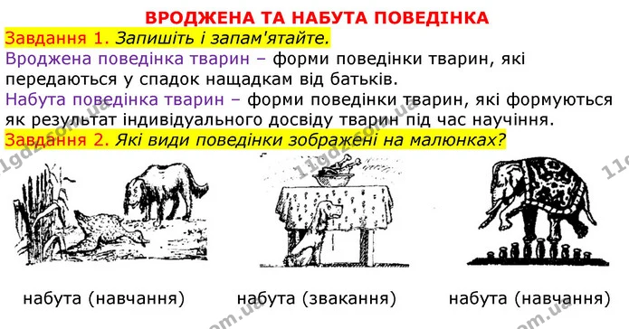 Стор. 83 — 1-2 (2) — ГДЗ Робочий зошит з Біології 7 клас Яременко — ГДЗ Робочий зошит з Біології 7 клас Яременко