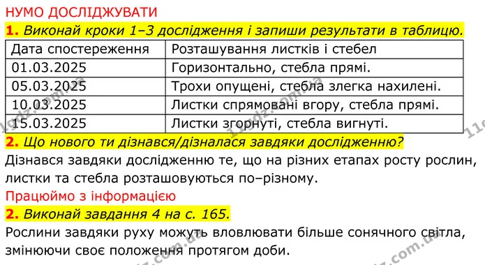 2. Що нового ти дізнався/дізналася завдяки дослідженню? — ГДЗ робочий зошит Пізнаємо природу 5 клас Коршевнюк
