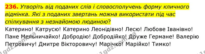 236. Утворіть від поданих слів і словосполучень форму кличного відмінка. Які з поданих звертань можна використати під час спілкування з — ГДЗ Українська мова 6 клас Голуб 2023