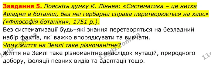 5. Поясніть думку К. Ліннея: «Систематика – це нитка Аріадни в ботаніці, без неї гербарна справа перетворюється на хаос» («Філософія — ГДЗ Робочий зошит Біологія 7 клас Мирна 2024
