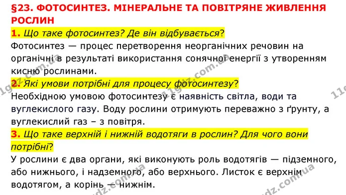 1. Що таке фотосинтез? Де він відбувається? — ГДЗ Пізнаємо природу 6 клас Мідак