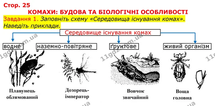 Стор. 25 — 1 — ГДЗ Робочий зошит з Біології 7 клас Яременко — ГДЗ Робочий зошит з Біології 7 клас Яременко