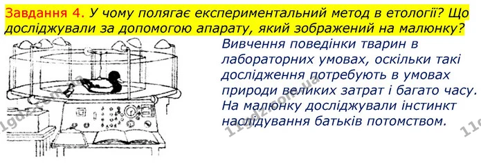 Стор. 82 — 4 — ГДЗ Робочий зошит з Біології 7 клас Яременко — ГДЗ Робочий зошит з Біології 7 клас Яременко