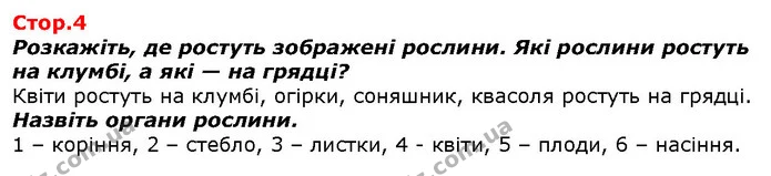 Розкажіть, де ростуть зображені рослини. Які рослини ростуть на клумбі, а які — на грядці? — ГДЗ Я досліджую світ 1 клас Гільберг