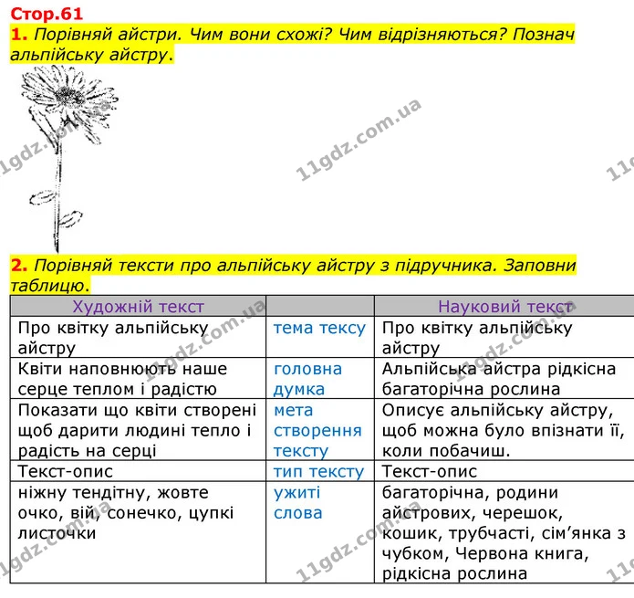 1. Порівняй айстри. Чим вони схожі? Чим відрізняються? Познач альпійську айстру. — ГДЗ Робочий зошит Українська мова та читання 3 клас Большакова