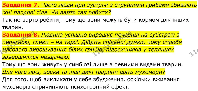 7. Часто люди при зустрічі з отруйними грибами збивають їхні плодові тіла. Чи варто так робити? — ГДЗ Робочий зошит Біологія 7 клас Мирна 2024