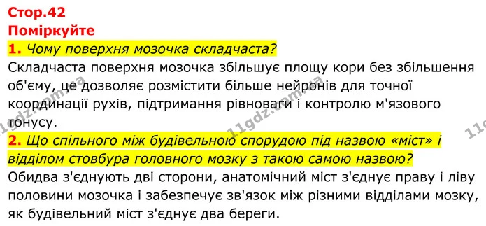 1. Чому поверхня мозочка складчаста? — ГДЗ Біологія 8 клас Балан