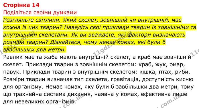 Стор. 14 — 1 — ГДЗ Біологія 8 клас Тагліна — ГДЗ Біологія 8 клас Тагліна