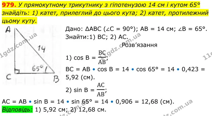 979. У прямокутному трикутнику з гіпотенузою 14 см і кутом 65° знайдіть: 1) катет, прилеглий до цього кута; 2) катет, протилежний цьому — ГДЗ Геометрія 8 клас Бурда
