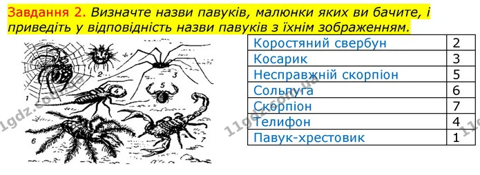 Стор. 23 — 2 (2) — ГДЗ Робочий зошит з Біології 7 клас Яременко — ГДЗ Робочий зошит з Біології 7 клас Яременко