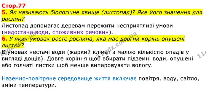 5. Як називають біологічне явище (листопад)? Яке його значення для рослин? — ГДЗ Робочий зошит Природознавство 5 клас Коршевнюк