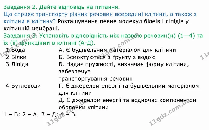 Стор. 12 — 2-3 — ГДЗ Робочий зошит Біологія 6 клас Мечник — ГДЗ Робочий зошит Біологія 6 клас Мечник