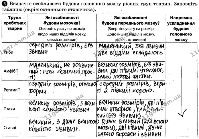 Пр.6 (3-4) — ГДЗ Робочий зошит Біологія 7 клас Задорожний — ГДЗ Робочий зошит Біологія 7 клас Задорожний