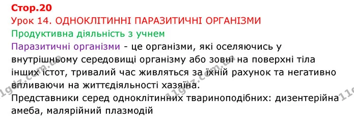 Стор. 20 — 1 — ГДЗ Робочий зошит Біологія 6 клас Соболь — ГДЗ Робочий зошит Біологія 6 клас Соболь
