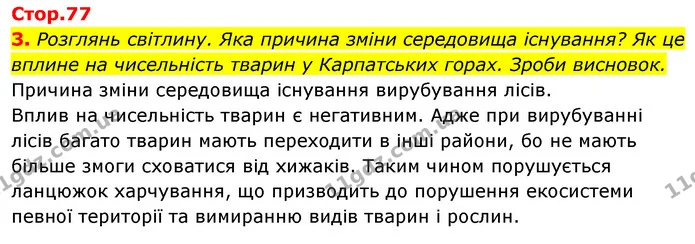 3. Розглянь світлину. Яка причина зміни середовища існування? Як це — ГДЗ Робочий зошит Я досліджую світ 4 клас Гільберг