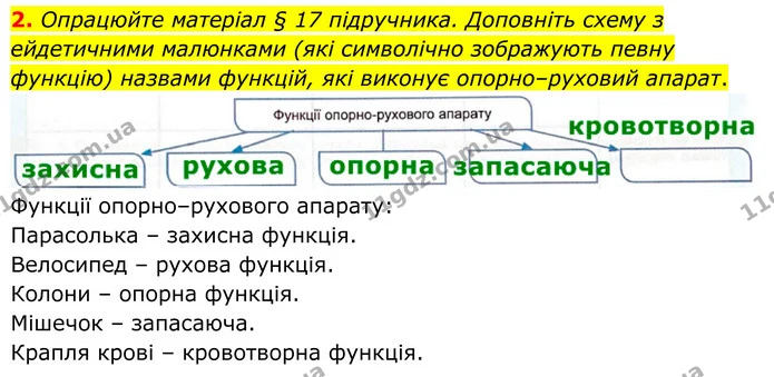 2. Опрацюйте матеріал § 17 підручника. Доповніть схему з ейдетичними малюнками (які символічно зображують певну функцію) назвами — ГДЗ Робочий зошит Біологія 8 клас Кулініч