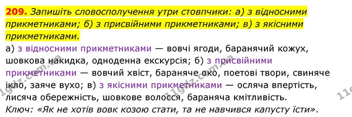 209. Запишіть словосполучення утри стовпчики: а) з відносними прикметниками; б) з присвійними прикметниками; в) з якісними — ГДЗ Українська мова 6 клас Ворон, Солопенко