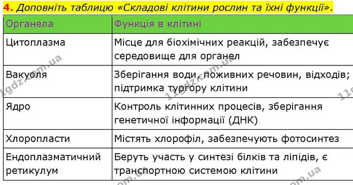 4. Доповніть таблицю «Складові клітини рослин та їхні функції». — ГДЗ робочий зошит Біологія 7 клас Кулініч