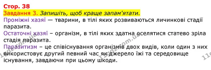 Стор. 38 — 3 — ГДЗ Робочий зошит з Біології 7 клас Яременко — ГДЗ Робочий зошит з Біології 7 клас Яременко