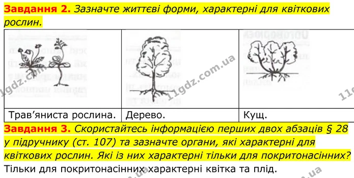 2. Зазначте життєві форми, характерні для квіткових рослин. — ГДЗ Робочий зошит Біологія 7 клас Мирна 2024