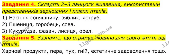 4. Складіть 2–3 ланцюги живлення, використавши представників зерноїдних і хижих птахів. — ГДЗ Робочий зошит Біологія 7 клас Мирна 2024